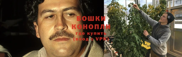 крисы Абдулино