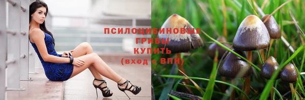 спайс Алексин