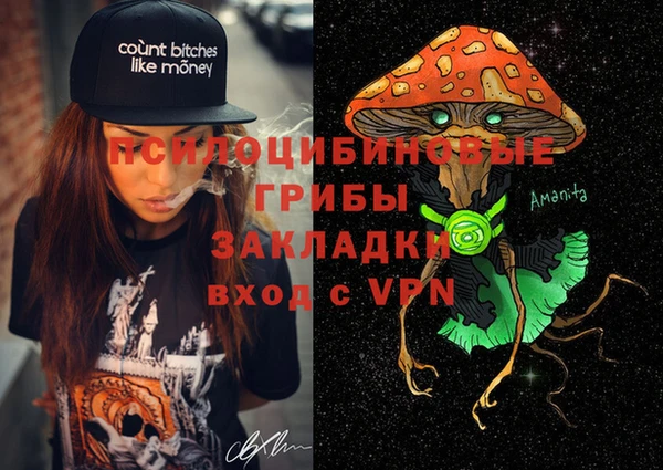 спайс Алексин